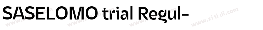 SASELOMO trial Regul字体转换